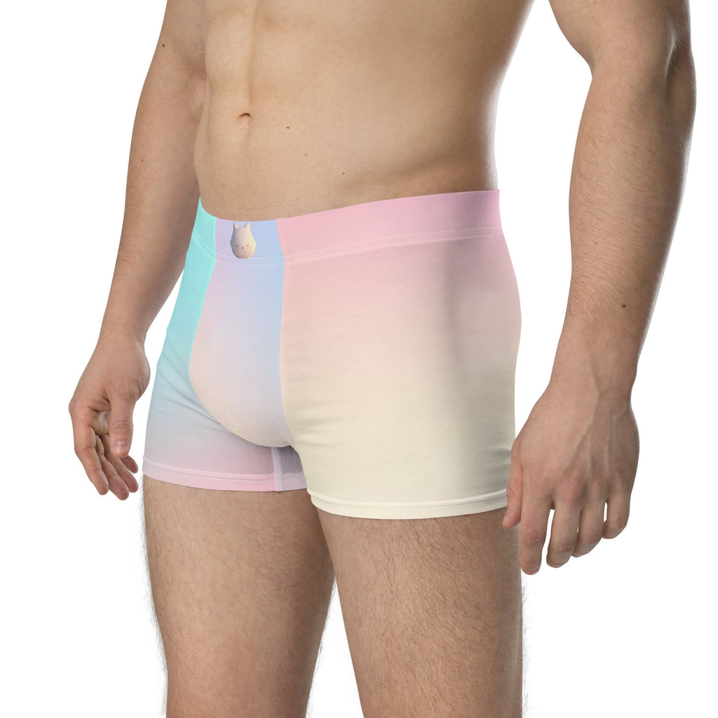 Boxer Briefs